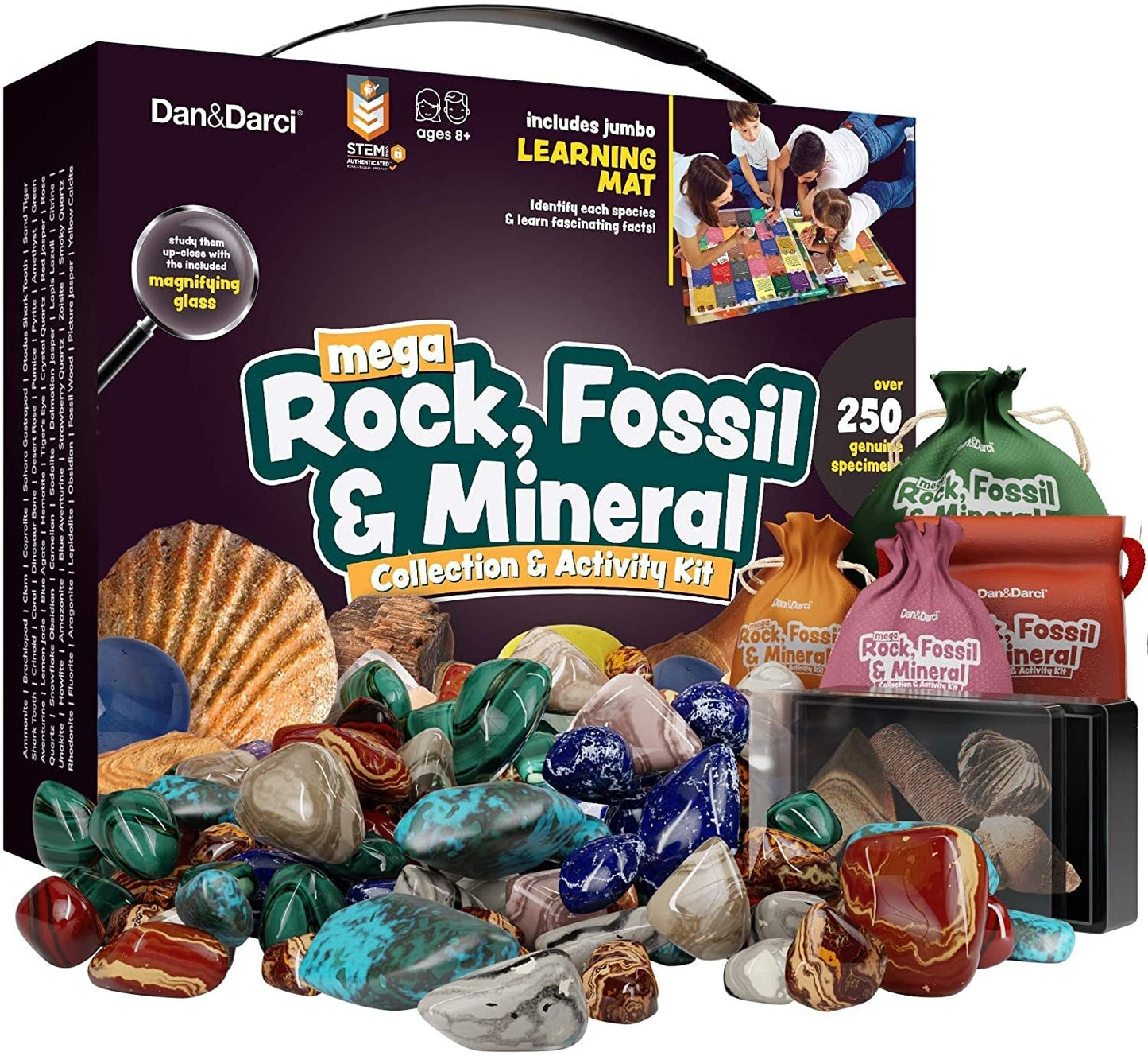 Dan&Darci Mega Rock, Fossil & Mineral Collection & Activity Kit by Surreal Brands