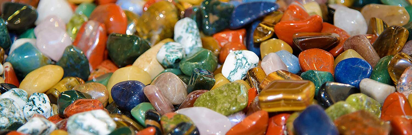 Dan&Darci Mega Rock, Fossil & Mineral Collection & Activity Kit by Surreal Brands