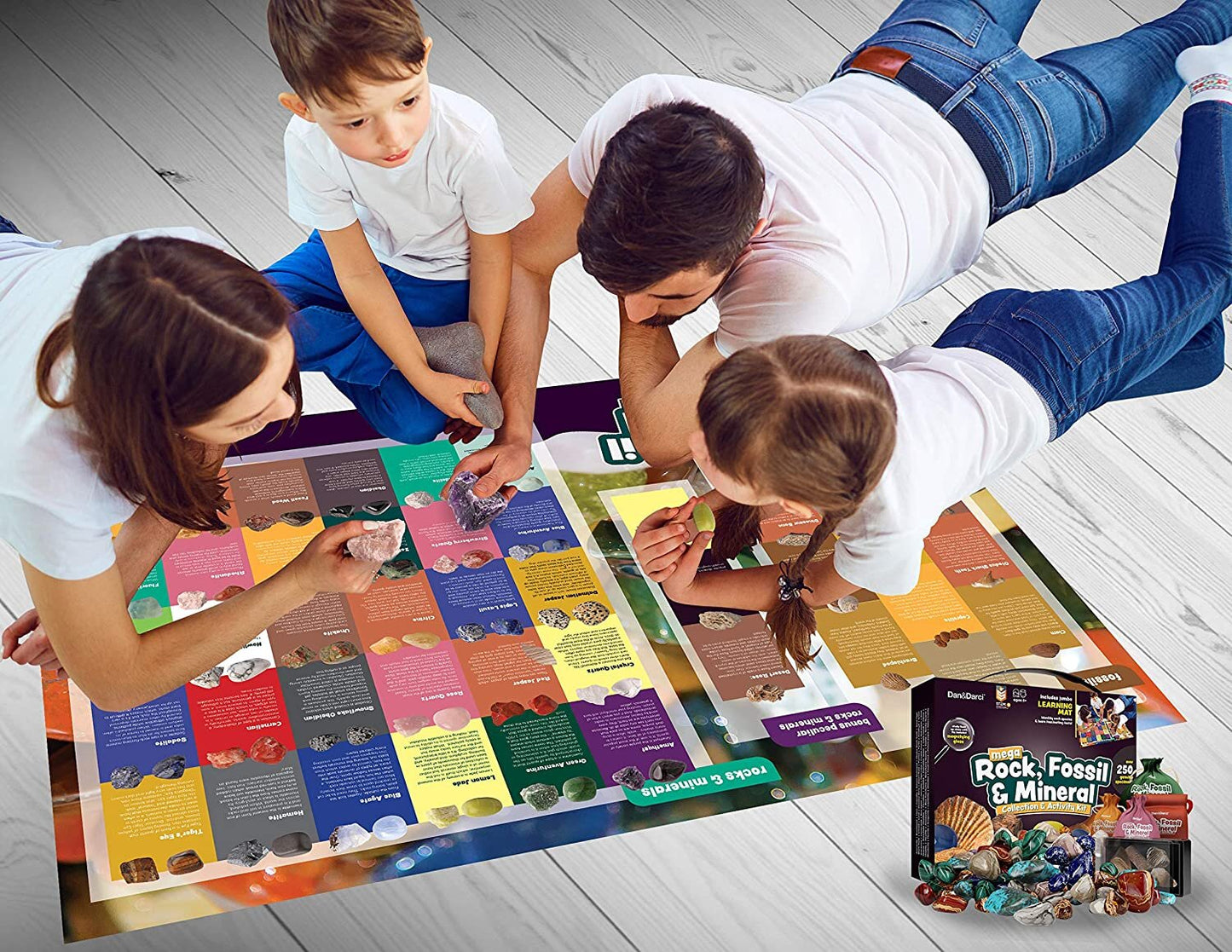 Dan&Darci Mega Rock, Fossil & Mineral Collection & Activity Kit by Surreal Brands